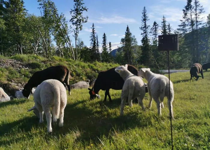 Дом отдыха Family With Annexe In Haglebu