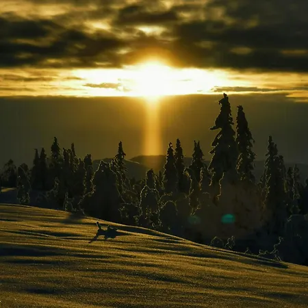 Family With Annexe In Haglebu Eggedal